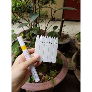 {GIÁ TẬN GỐC} 100 Thẻ nhựa cứng ghi tên cho lan, cây cảnh