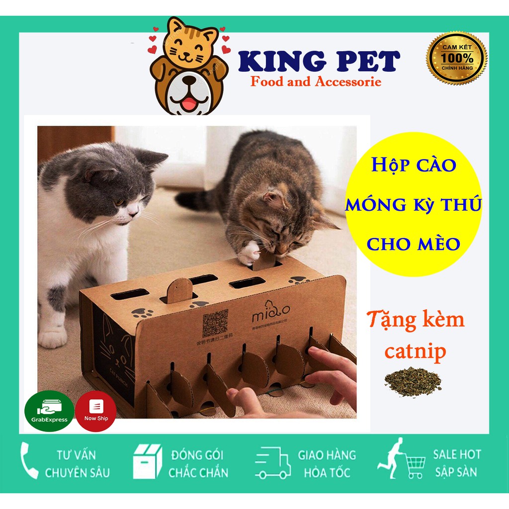 Đồ Chơi Tương Tác Chuột Hamster Carton Cho Mèo