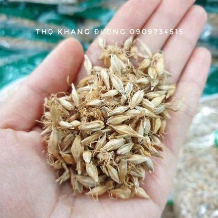 Mạch nha vùng Hà Nam, Trung Quốc giúp cải thiện tiêu hoá