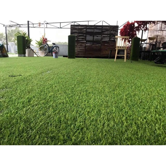 CỎ NHUNG NHẬT - Loại cỏ trồng trang trí, sạch và đẹp. GÓI NHỎ 50 HẠT