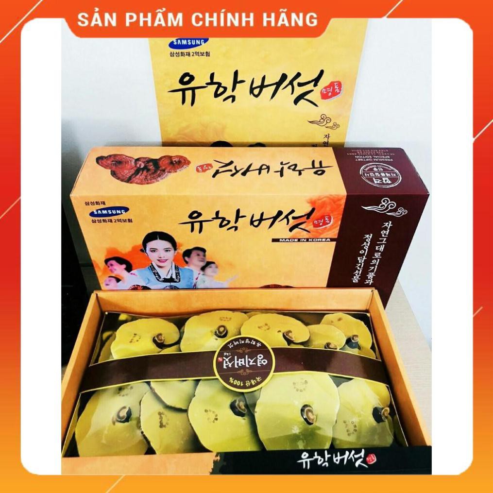 Nấm Linh Chi Hàn Quốc Hộp Cô Gái Chính Hãng 1kg