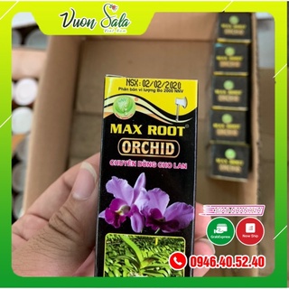 KÍCH KY LAN, KÍCH RỄ LAN CỰC MẠNH