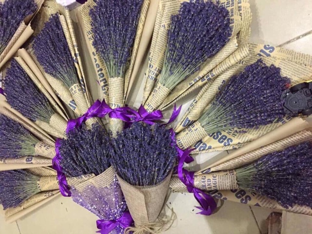 HOA LAVENDER PHÁP ĐỂ BÀN