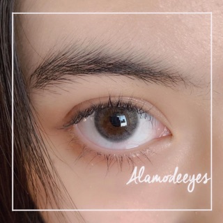 LENS 60K 1 ĐÔI KÈM KHAY ĐƠN