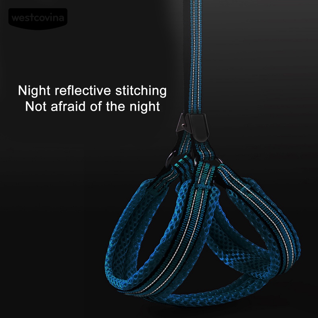 Dây Dắt Chó Phản Quang Thoáng Khí Chống Rách Màu Sáng