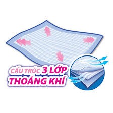 TẤM LÓT NGƯỜI LỚN SUN MATE - 10 MIẾNG - 45cm x 70cm - 2201383