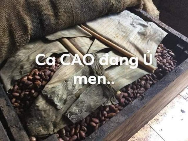 Bột cacao nguyên chất đăklắk 500g