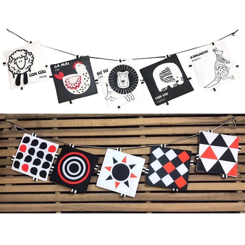 Bộ thẻ kích thích thị giác, xúc giác, thính giác của pipo việt nam