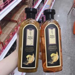 Dầu gội sâm Thái Lan