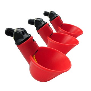 Bình uống nước tự động cho gà