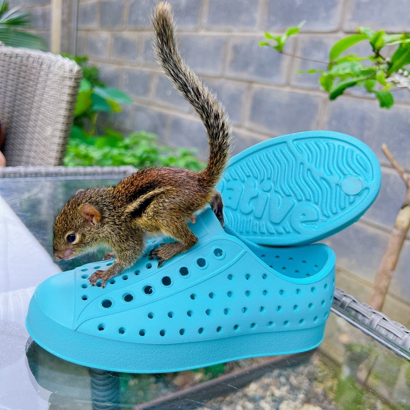 Giày xuất dư