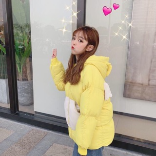 Áo phao con vịt