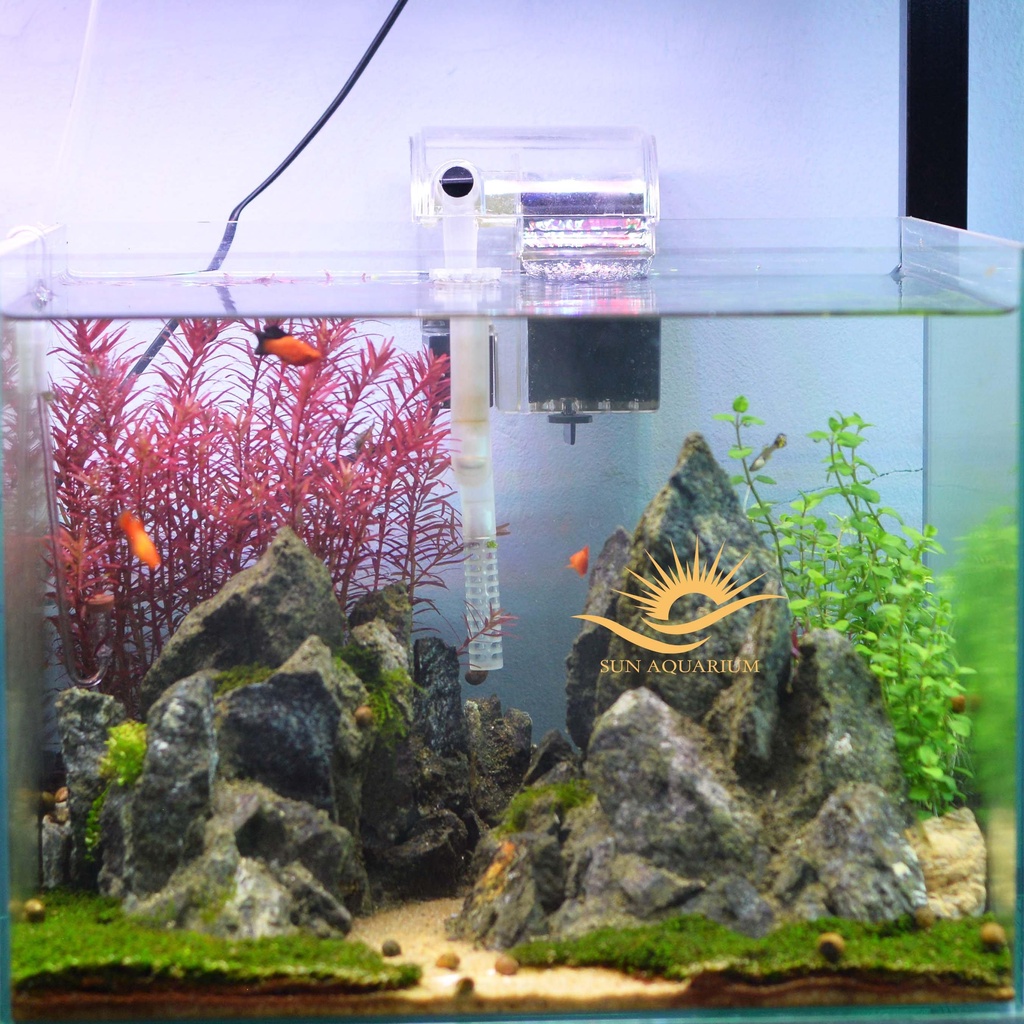 Máy Lọc Thác + Lọc Váng 5W VIPSUN AP-303H - Lọc Nước Hồ Cá Mini- SUN AQUARIUM