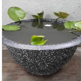 Mua 2 Chậu Nhựa Trồng Cây Cỡ Lớn - Chậu Giả Đá - Chậu Trồng Sen/Thủy Canh - siêu đẹp siêu dày (size T48 - T58)