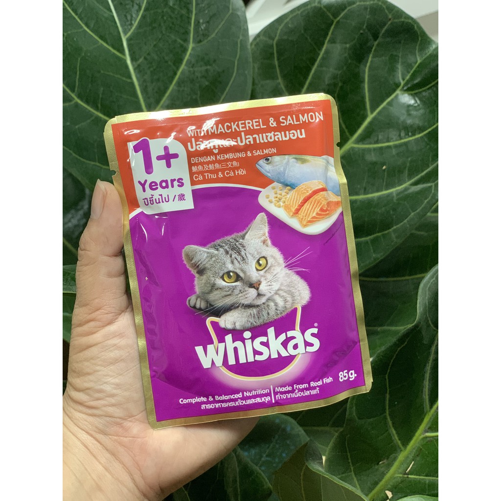 Thức ăn Pate gói  Whiskas mèo lớn, mèo con Junior 85g đủ vị theo yêu cầu