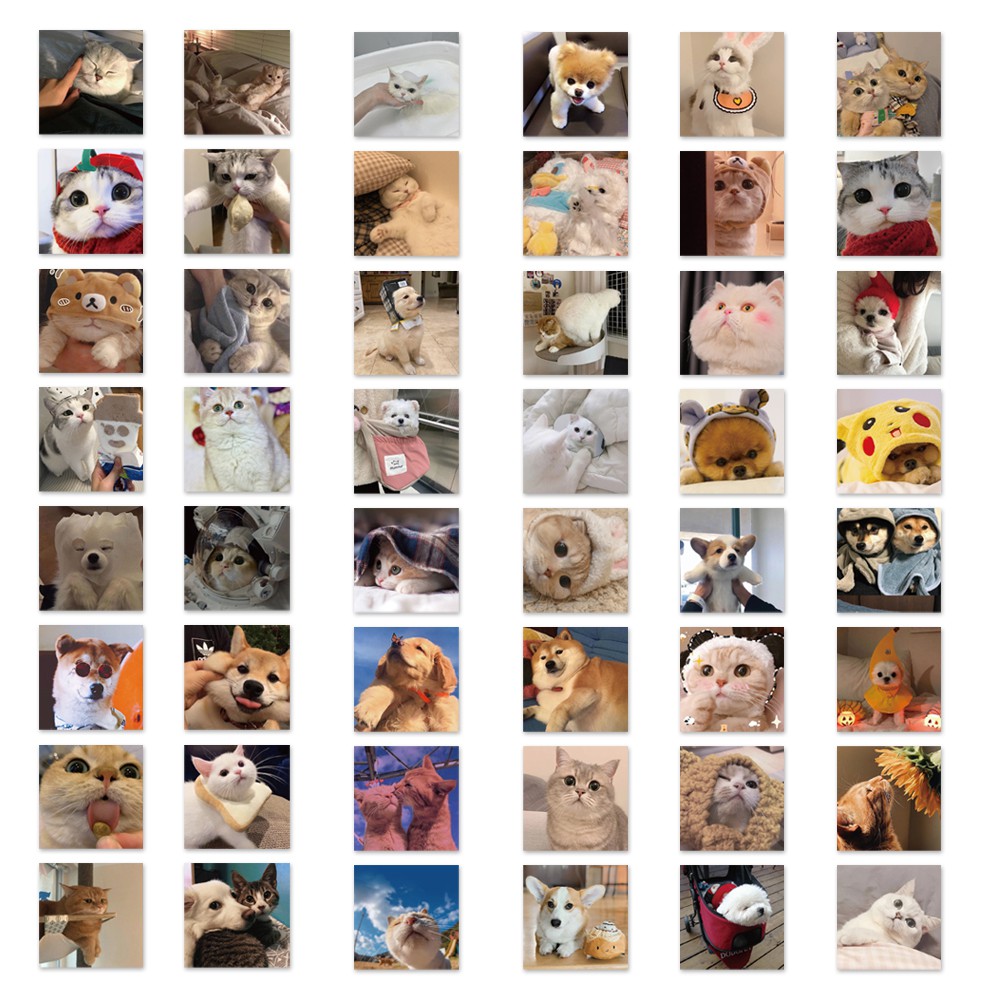 Set 10/25/50 miếng dán trang trí hình mèo đáng yêu chống thấm nước đa năng tiện lợi