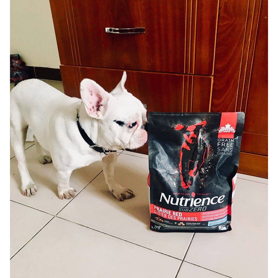 Thức Ăn Hạt Cho Chó Bulldog Nutrience Subzero Bao 5kg - Thức Ăn Cho Chó Gồm Có 6 Loại Thịt Cá, Rau Củ, Trái Cây