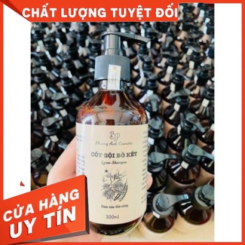 Cốt gội bồ kết