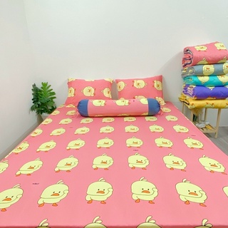 Set 4 drap áo gối thun lạnh hàn quốc