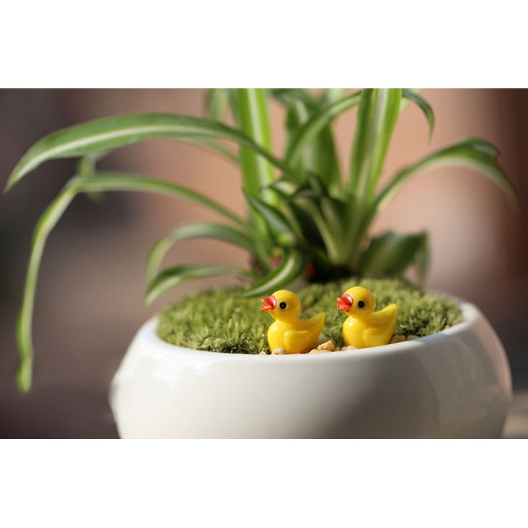 Phụ kiện tiểu cảnh chú vịt trang trí terrarium, cây cảnh mini, sen đá, xương rồng