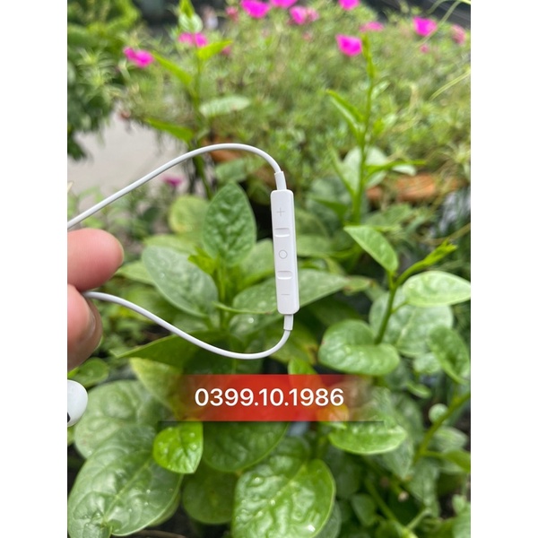 [CÓ DAC] Tai nghe Pro AL+ jack Type C siêu bass có mic, hi-res chơi game nghe nhạc cực đã