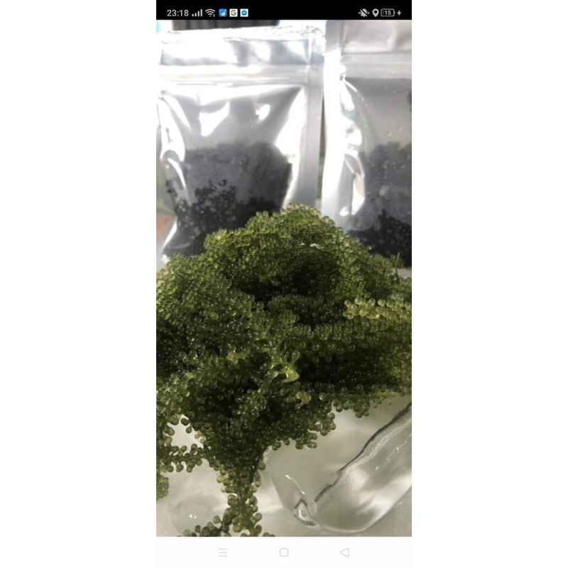 Rong nho tách nước loại 1 100gr nở ra 300gr | BigBuy360 - bigbuy360.vn