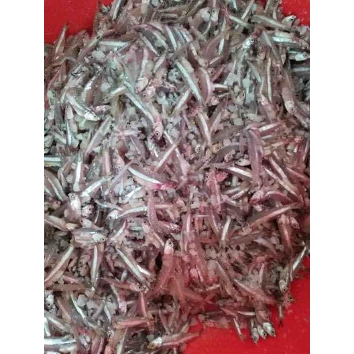 3 hủ Mắm cá cơm nguyên con đã nêm gia vị đậm đà nhà làm - Mắm nêm hay còn gọi mắm cái | BigBuy360 - bigbuy360.vn