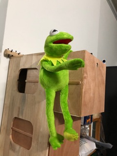 Gấu bông ếch elmo kermit