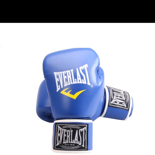 Găng tay boxing everlast