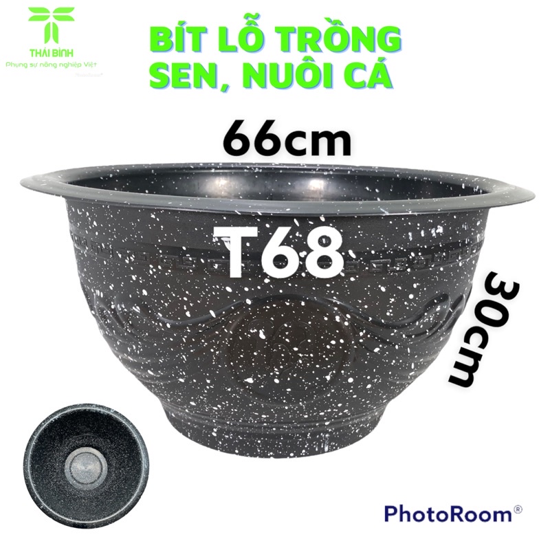 - Chậu Nhựa Thái Bình