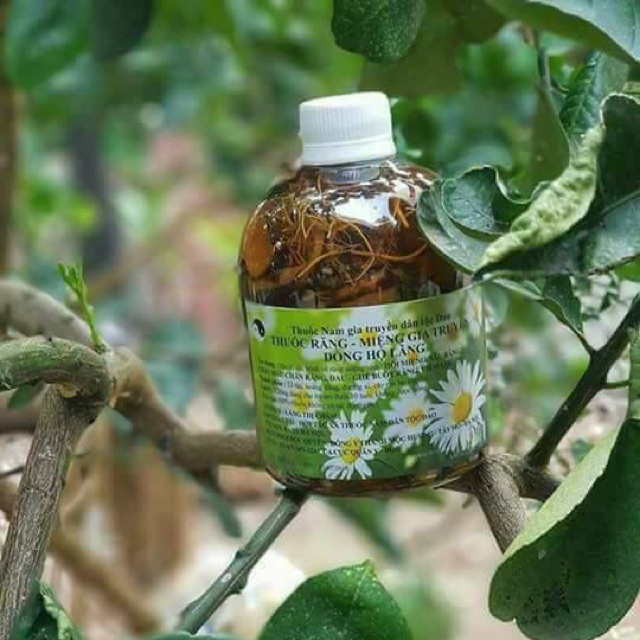 Thuốc răng miệng Thanh Mộc Hương