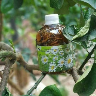 Thuốc răng miệng Thanh Mộc Hương