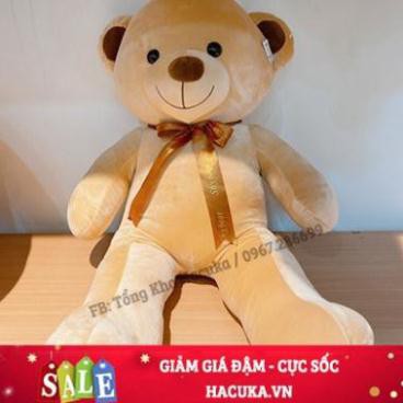 [CAO CẤP] Gấu bông Teddy thú nhồi bông mồm thêu mbthu81