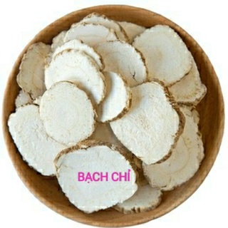 GỐI CHƯỜM NGẢI CỨU THẢO DƯỢC
