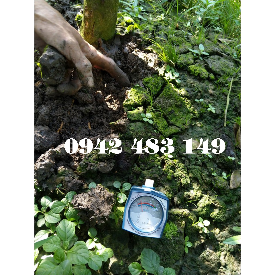 Máy đo pH và độ ẩm đất DM15