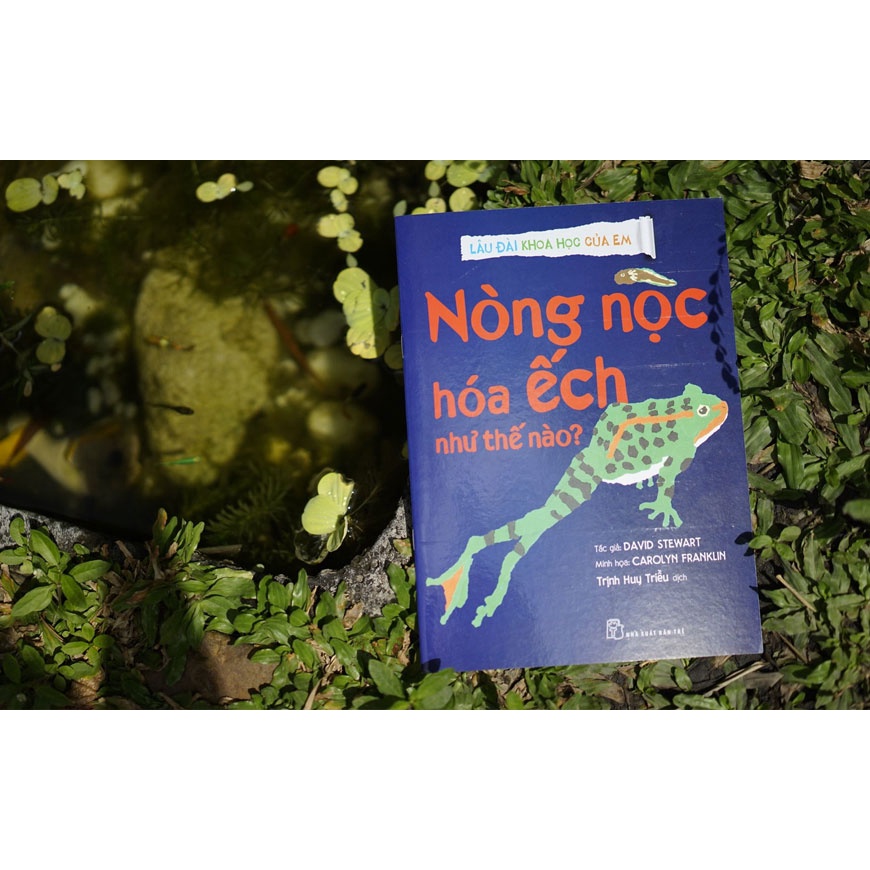 Sách - Lâu Đài Khoa Học Của Em - Nòng Nọc Hóa Ếch Như Thế Nào?