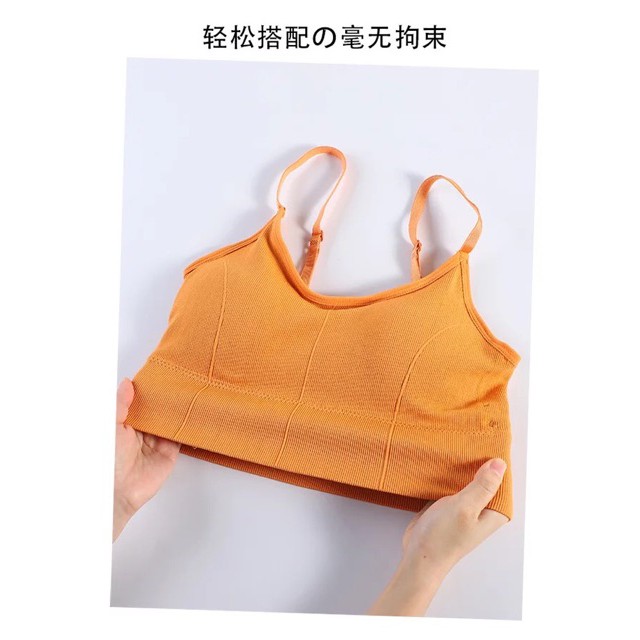 Áo bra gân màu khoét lưng sâu sang chảnh Tập gym, yoga dáng croptop M01 nội y giá tốt