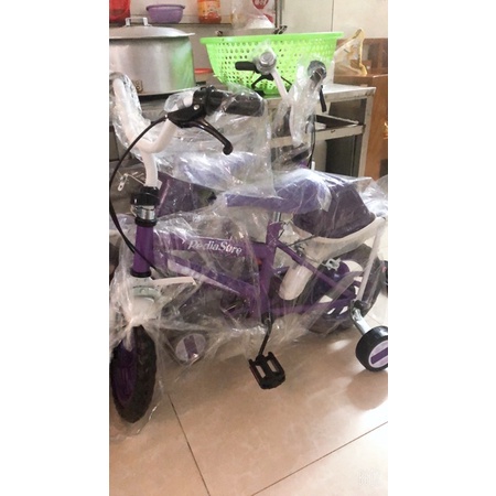 Xe đạp 12 inch pediasure