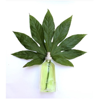 💥Sharingperfume - Nước hoa Mugler Cologne