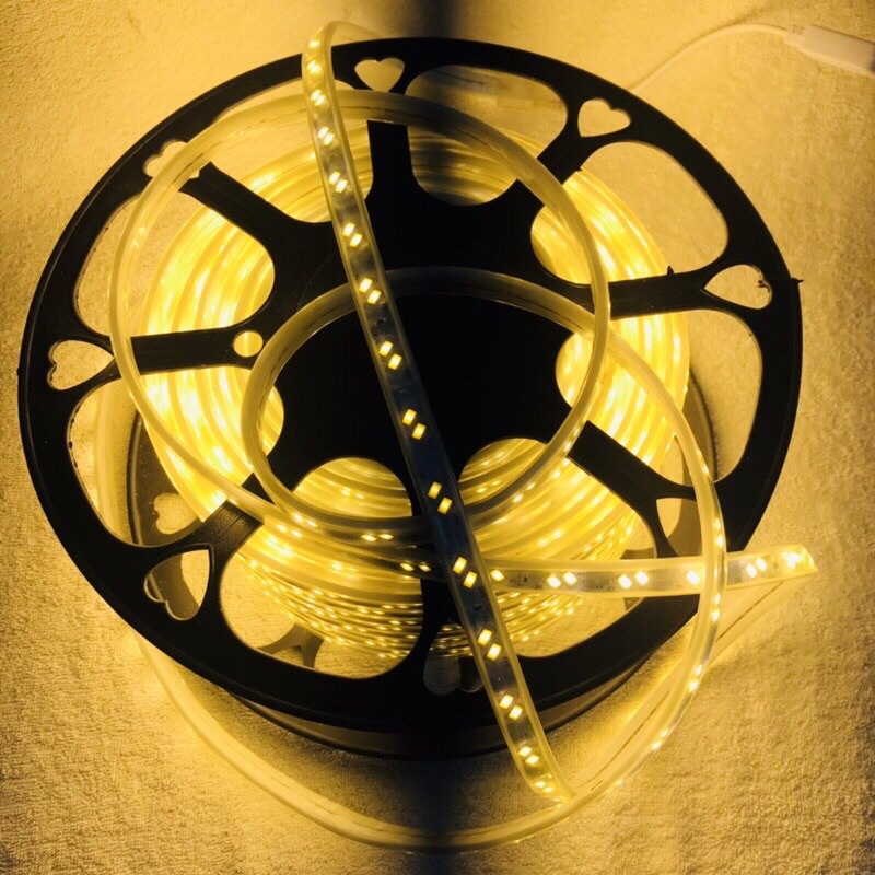 Dây led trang trí hai hàng 5730 bán theo mét