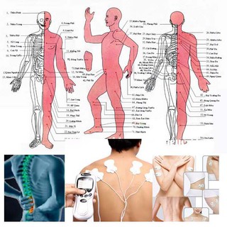 Máy Massage Trị Liệu Digital Therapy Machine SYK-208