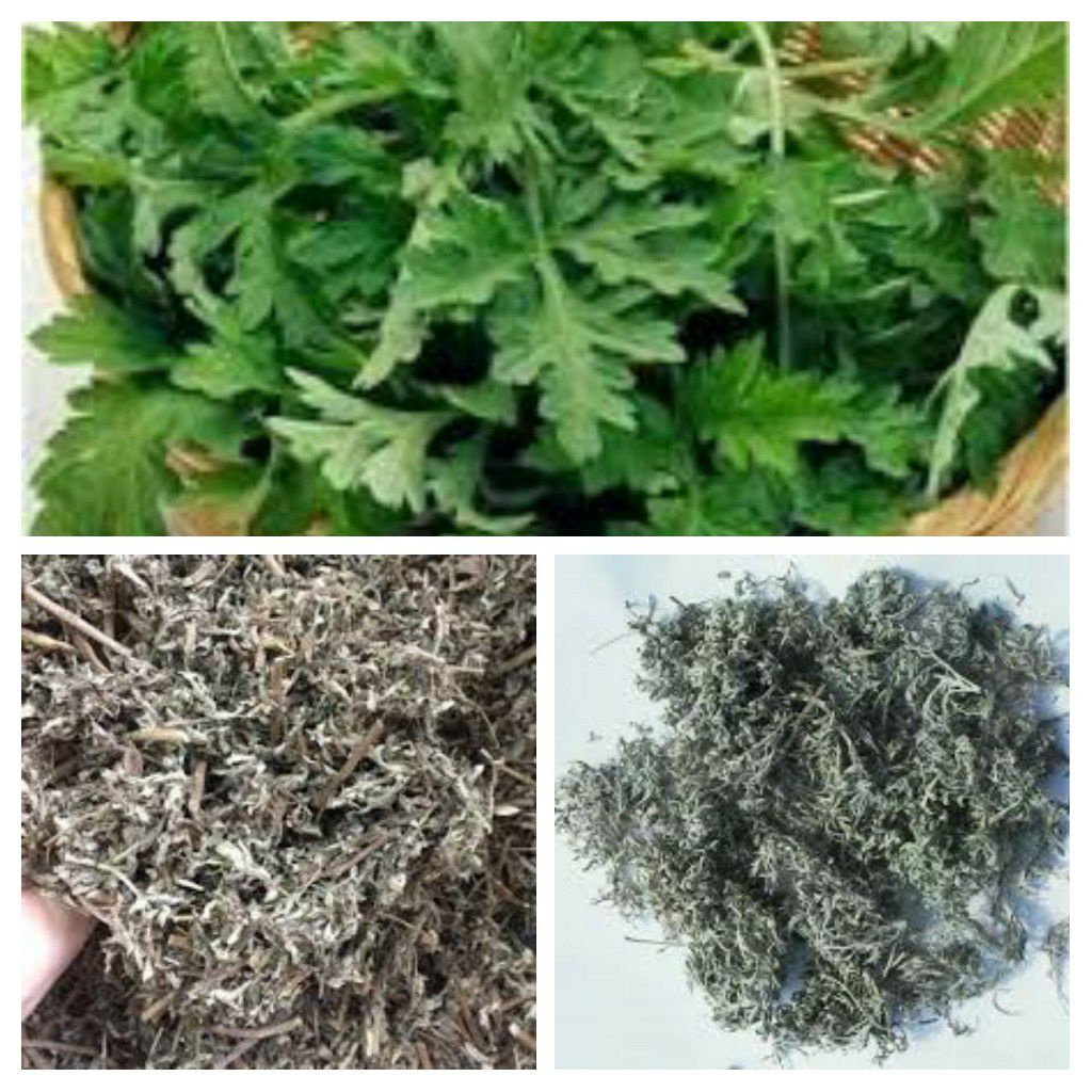 Ngải cứu khô thượng hạng Sasuke 1kg giúp hỗ trợ điều tr_ị kinh nguyệt không đều, đau bụng
