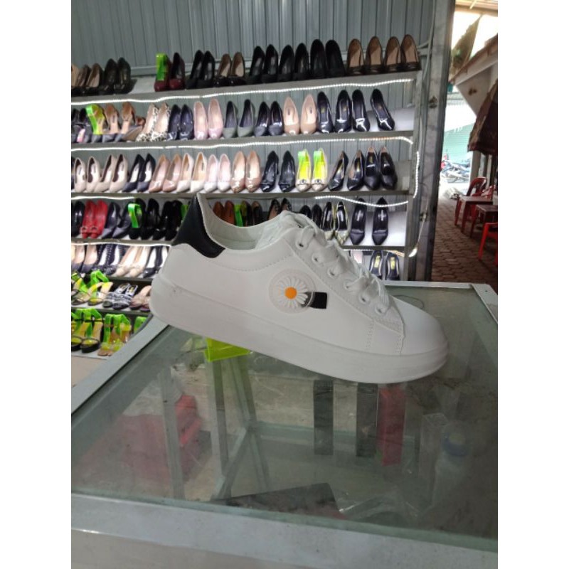 TT hoa cúc chụp tại shop