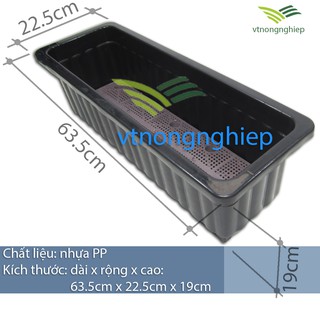 Khay nhựa trồng rau, kích thước 63.5 x 22.5 x 19cm, nhựa PP, có vỉ chống úng rễ cây, thích hợp trồng rau sân thượng