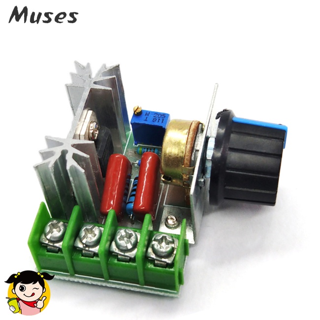 Mô Đun Điều Chỉnh Tốc Độ Điện Áp 2000W 220V Chất Lượng Cao