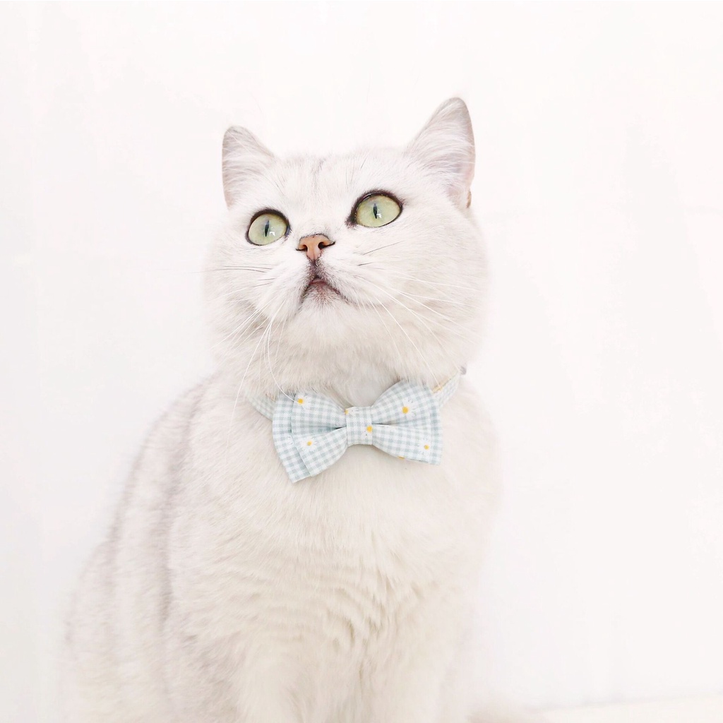 Vòng cổ thắt nơ họa tiết hoa dễ thương dành cho thú cưng