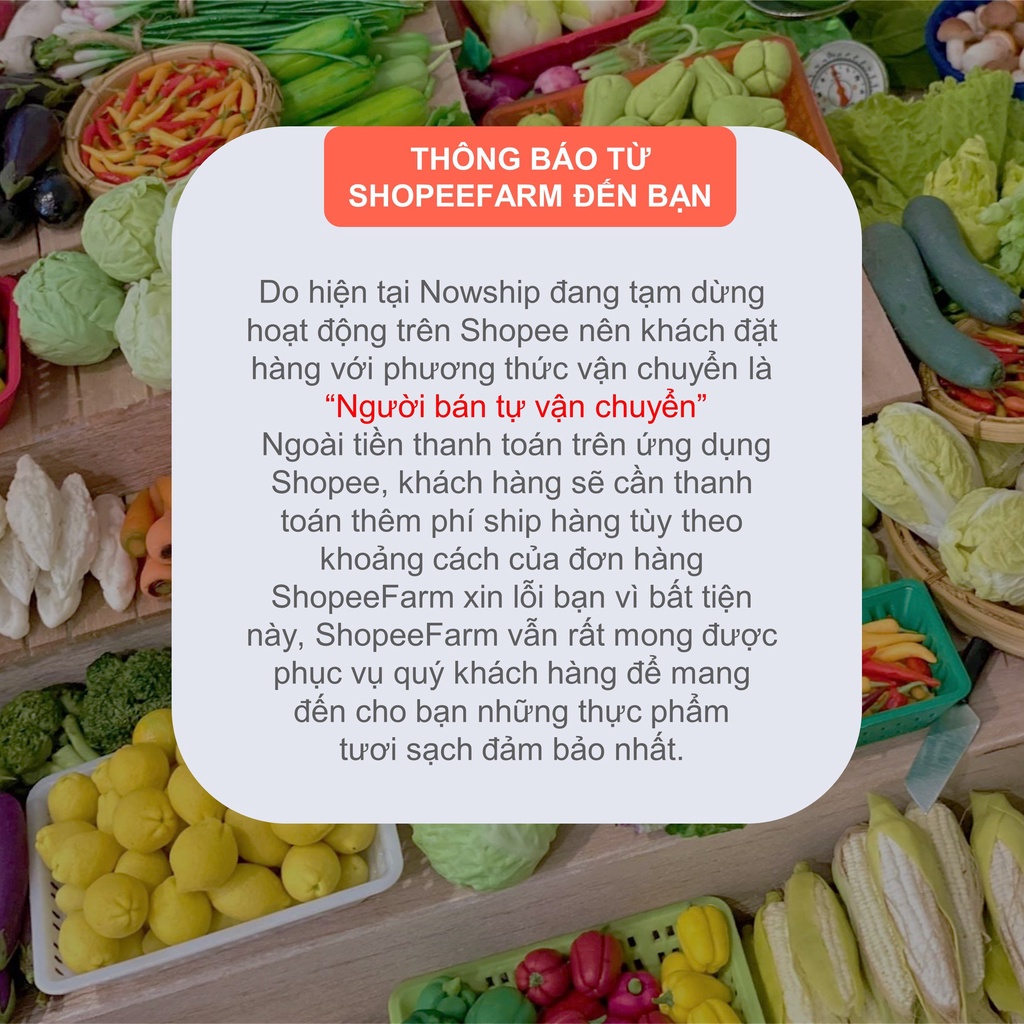 [HN] Hộp 10 Quả Trứng Gà Bổ Dưỡng - Shopeefarm | BigBuy360 - bigbuy360.vn