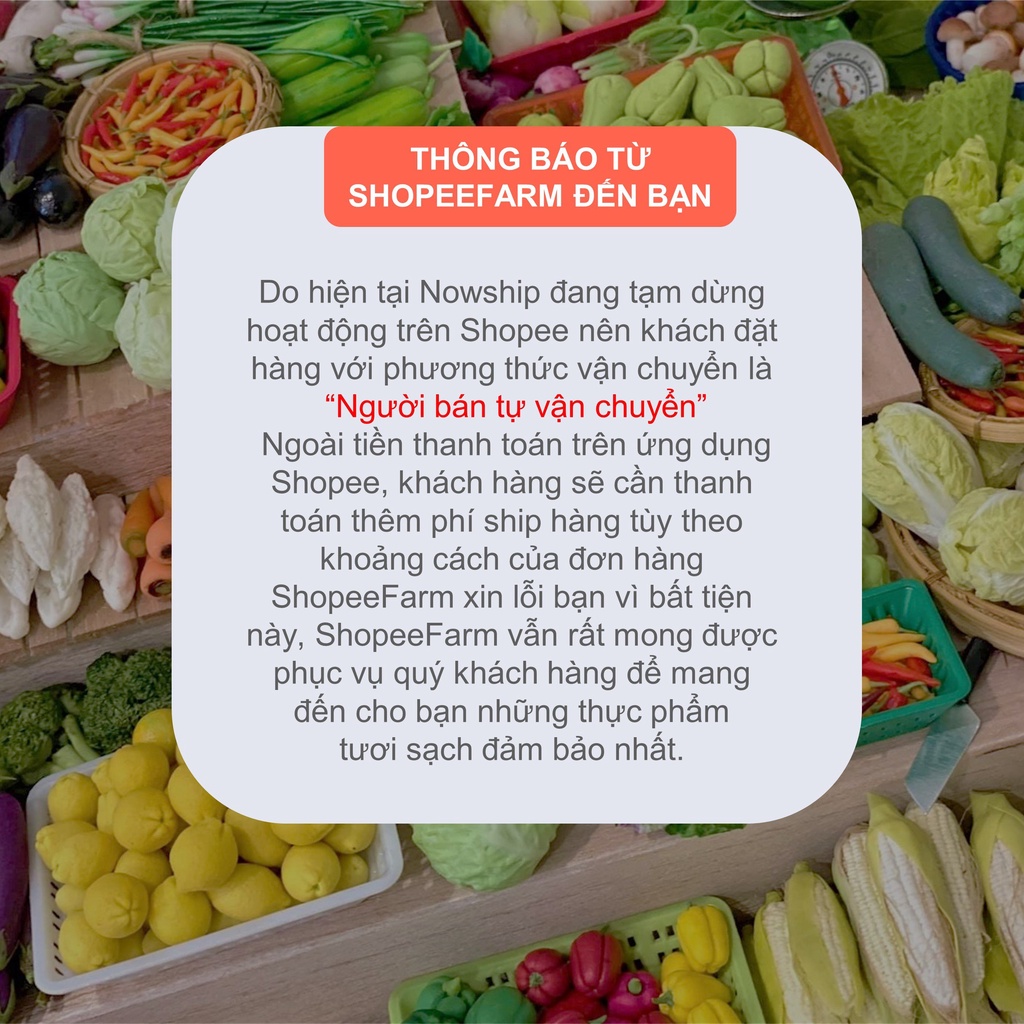 [HN] Bánh Báo Nhân Xá Xíu Chuẩn Ngon - Shopeefarm