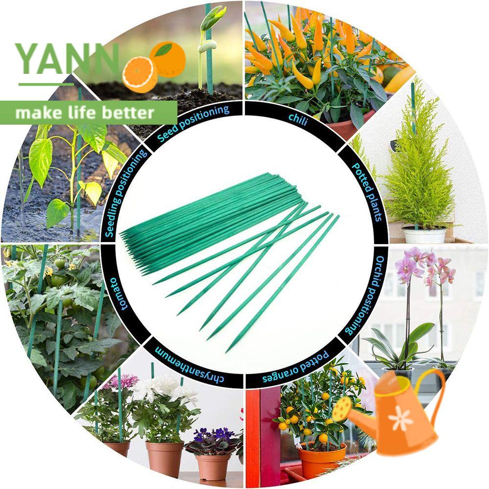 10/30 Thanh Tre Dùng Trồng Cây Chuyên Dụng|Giá Cố Định Cây Hoa Chất Lượng Cao