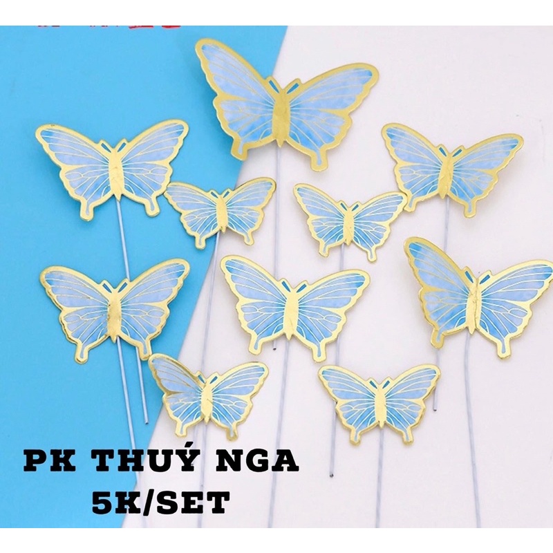 5 set cắm 10 bướm giấy mới